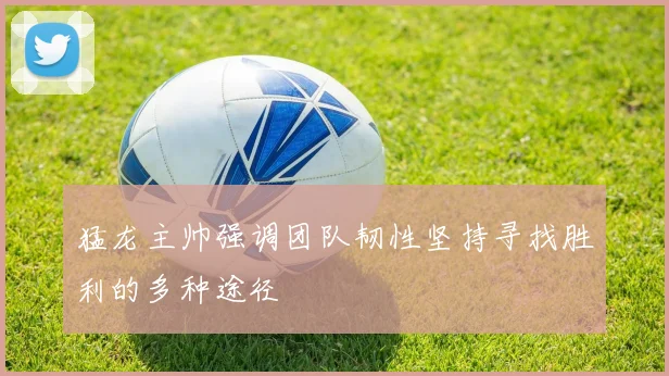 猛龙主帅强调团队韧性坚持寻找胜利的多种途径