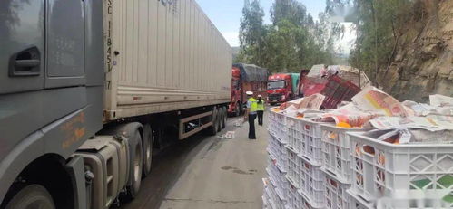 拖挂车侧翻 沃柑洒落一地，华坪民警20小时紧急救援彰显责任担当